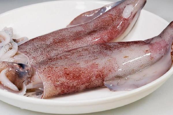 鱿鱼属于高蛋白食物吗 鱿鱼是发物吗