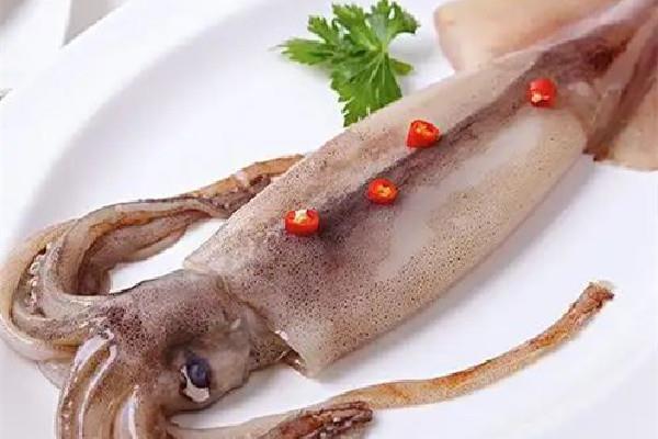 鱿鱼属于高蛋白食物吗 鱿鱼是发物吗