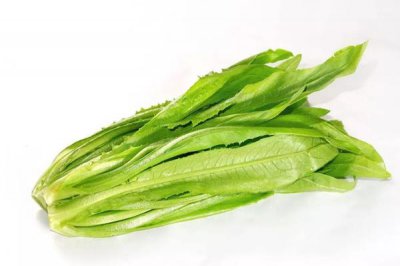 ​油麦菜是凉性的吗 油麦菜属于感光食物吗
