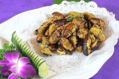 ​蝉蛹冷冻后还能吃吗 吃蝉蛹会过敏吗