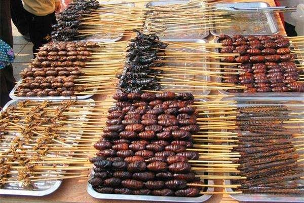 蝉蛹冷冻后还能吃吗 吃蝉蛹会过敏吗