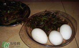 春芽炒鹅蛋与什么相克？春芽炒鹅蛋的禁忌