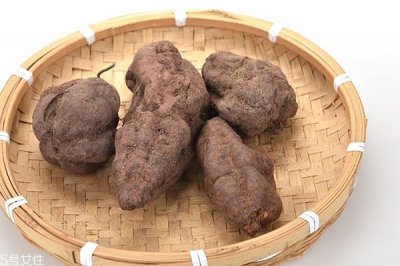​何首乌治妇科病吗 要对症才行