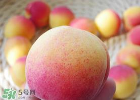 杏的热量高吗？一个杏的热量是多少？