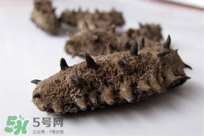 ​干海参用热水泡发吗?干海参用自来水泡行吗?