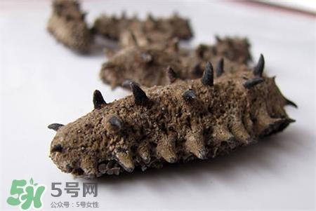 干海参用热水泡发吗?干海参用自来水泡行吗?