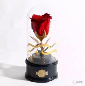 ​野兽派美女与野兽水晶球多少钱？野兽派音乐水晶球价格