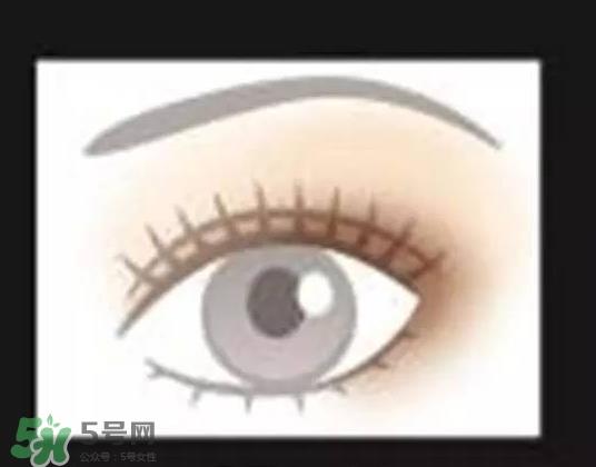 kate2017年春季彩妆有哪些？kate2017春季彩妆价格