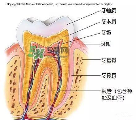 regenerate牙膏多少钱？regenerate牙膏专柜价格