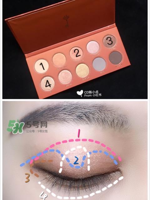 zoeva玫瑰金眼影盘怎么画？zoeva rose golden画法教程