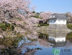 5月份去日本穿什么？五月份去日本穿什么衣服？