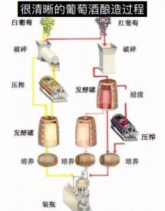 ​转化成本什么意思(创造性转化什么意思)