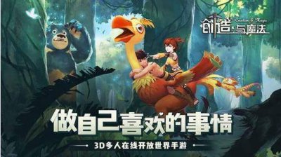 ​创造与魔法游戏鸟饲料