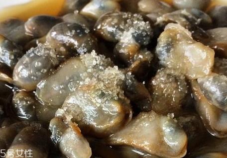 泥螺什么时候有 什么时候捡泥螺最好
