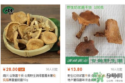 松乳菇多少钱一斤？松乳菇干货多少钱一斤