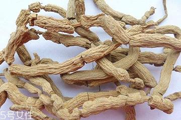 巴戟天和什么一起煲汤 巴戟天羊肉煲汤