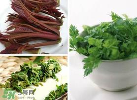香椿和香菜能一起吃吗？香椿和香菜怎么做？