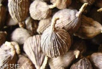 草果是不是槟榔 草果不是槟榔
