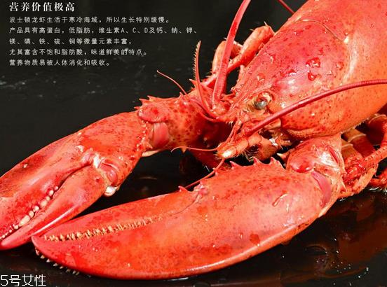 波士顿龙虾头里绿色的是什么？