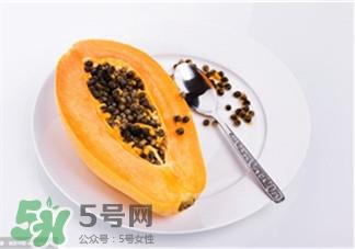 木瓜分公母吗?木瓜的公母怎么分?