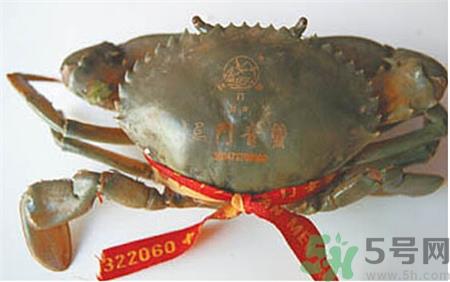 青蟹怎么保存不会死?三门青蟹怎么保存?