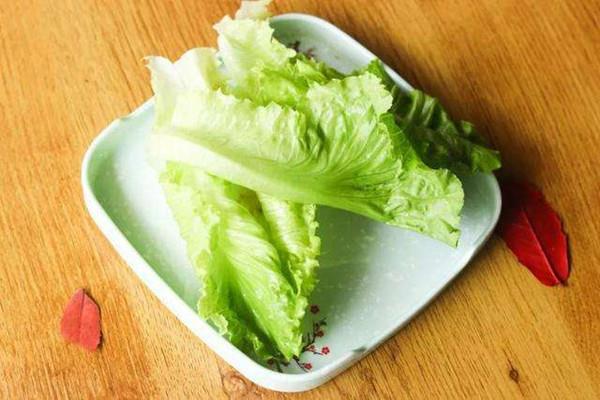 生菜一年四季都有吗 生菜是转基因蔬菜吗