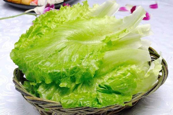生菜一年四季都有吗 生菜是转基因蔬菜吗