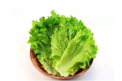 ​生菜一年四季都有吗 生菜是转基因蔬菜吗