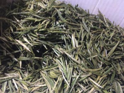 ​资溪白茶的冲泡方法 资溪白茶煮饮的方法