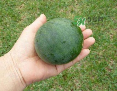​9月份可以种西瓜吗？九月份种西瓜会结果吗？