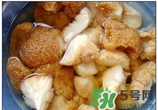 猴菇是什么东西?猴菇怎么做好吃?