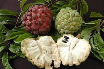 ​释迦果什么时候吃最好 建议早上食用