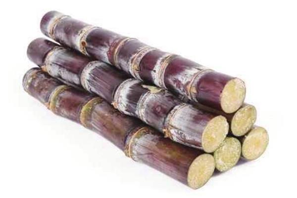 甘蔗是凉性还是热性 甘蔗是什么季节的水果