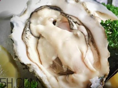​一个生蚝多少克 一个生蚝肉多少克