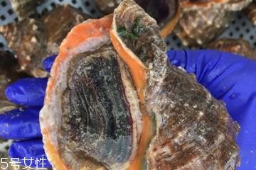 海螺开水还是冷水下锅？海螺冷水还是热水煮？