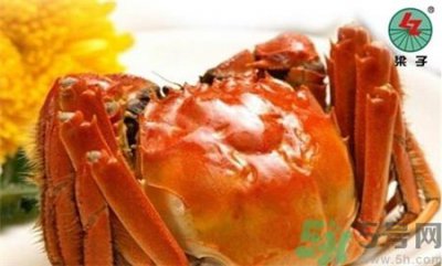 ​梁子湖大闸蟹什么时候上市?梁子湖大闸蟹几月份有?