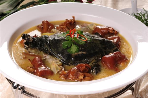 甲鱼胆汁腌制甲鱼能去腥吗 甲鱼胆汁的功效和作用