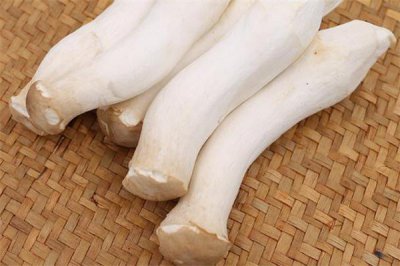 ​杏鲍菇热量高吗 杏鲍菇减肥能吃吗
