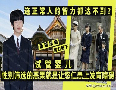 ​连正常人的智力都达不到？选择男孩的恶果就是让悠仁患上发育障碍