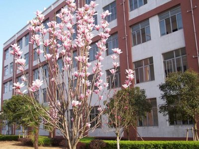 ​江西临川一中怎么样？在江西和全国排位怎么样？