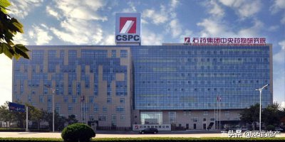 ​从《杀死那个石家庄人》到《再见了石家庄》，国际庄经历了什么？