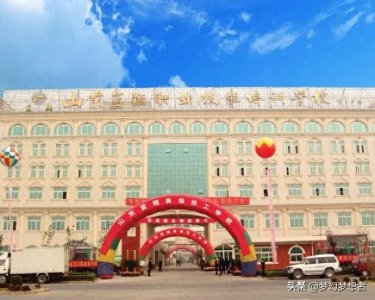 ​“间谍”厨师、黑客-蓝翔技校之谜