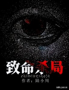 ​几本主角是警察的悬疑推理小说，邪不压正，永远臣服于正义