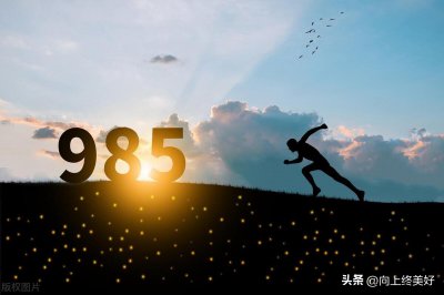 ​39所985工程高校及学科优势