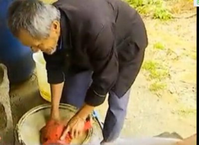 ​还在抱怨养猪难？他双目失明，却独立养了十多头猪