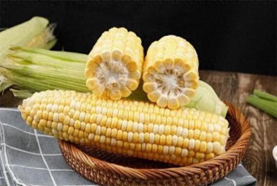 ​哪几种玉米是转基因玉米？教你如何识别转基因玉米