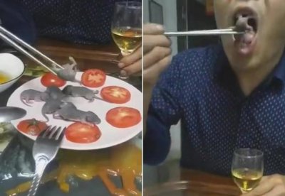 ​男子30秒生吃2只小老鼠 惊呆！（图）