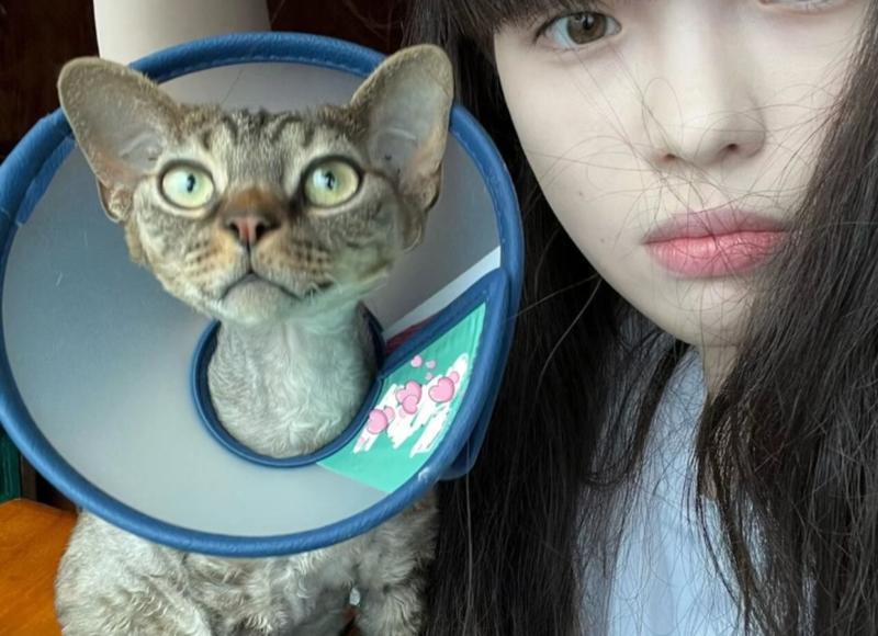 分手挽回老婆，如何用正确的方法挽回和解老婆分手?
