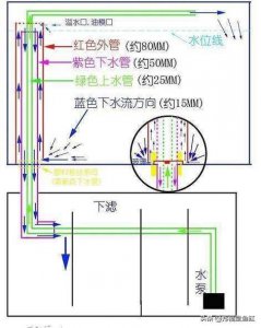 ​底滤鱼缸详细介绍