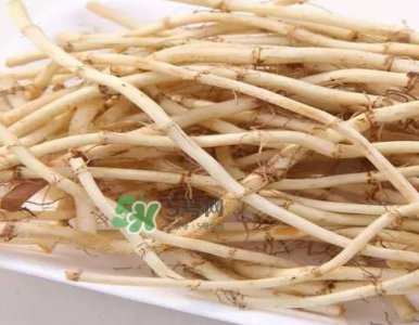 ​经常吃折耳根有什么好处？折耳根的用法用量